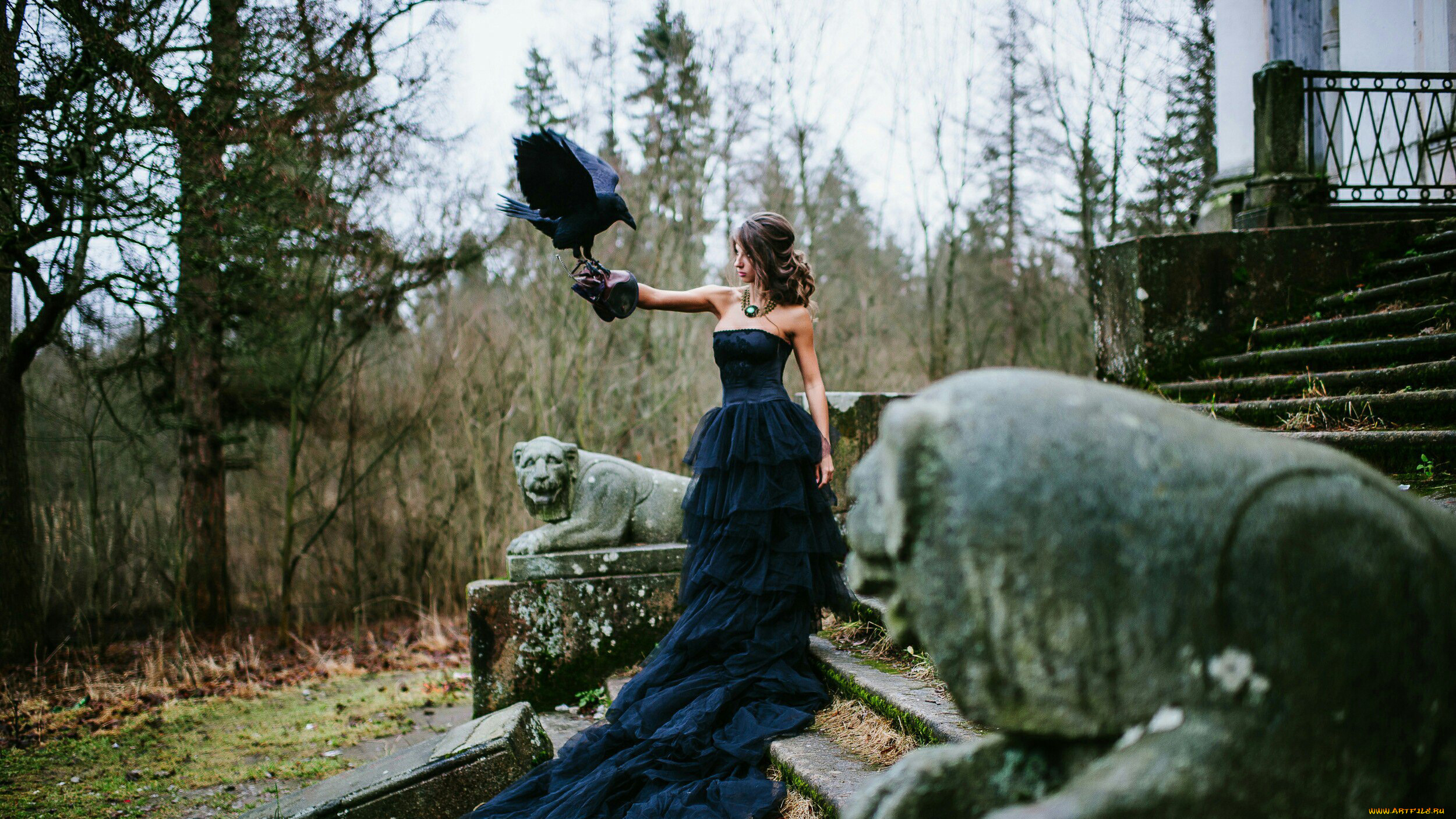 ,   , daria shy, , , daria, shy